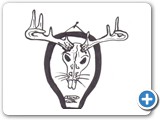 beaver skull